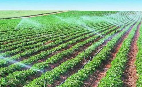 男子干女子的网站农田高 效节水灌溉